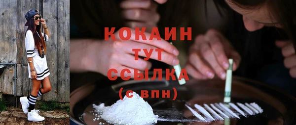 МДПВ Козельск