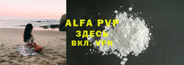 прущие грибы Кодинск