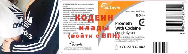 индика Костерёво