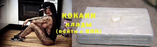 прущие грибы Кодинск