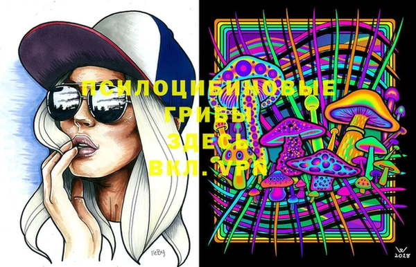 индика Костерёво