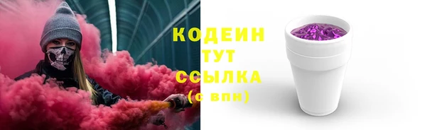 индика Костерёво