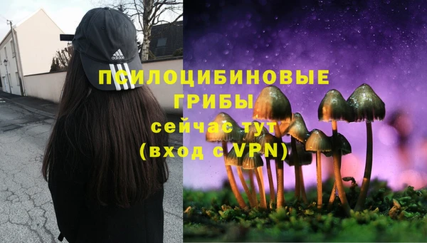 индика Костерёво