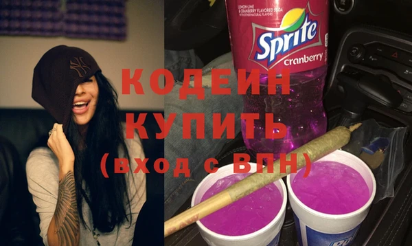 индика Костерёво