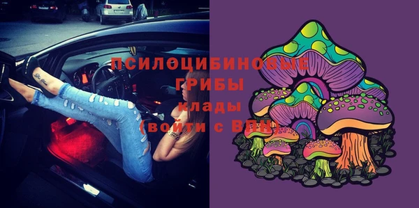 МДПВ Козельск