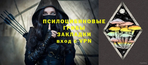 прущие грибы Кодинск
