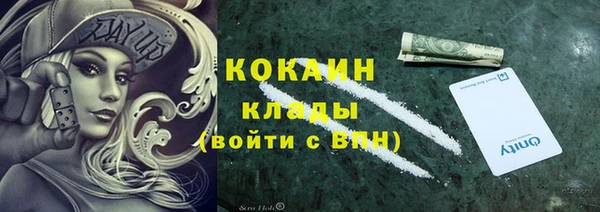 прущие грибы Кодинск