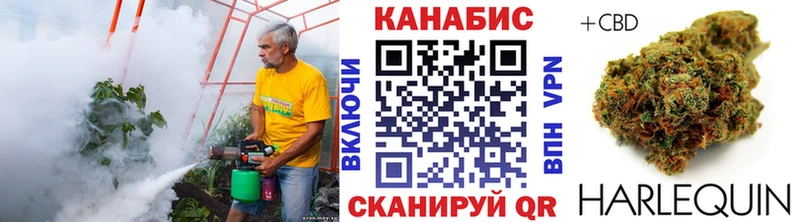 Канабис VHQ  закладки  Ильский 