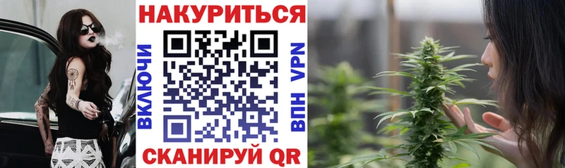 Канабис сатива Ильский